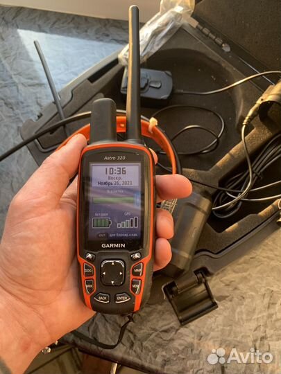Garmin astro 320 с ошейником