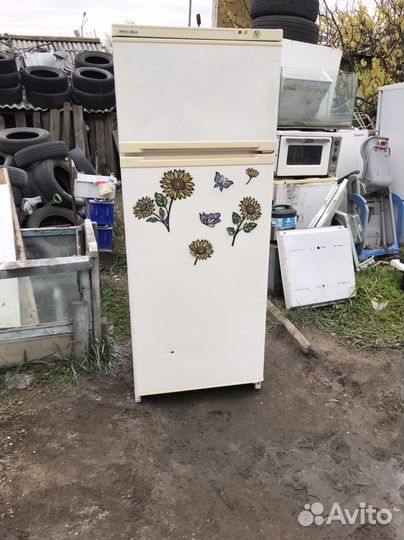 Холодильник Beko