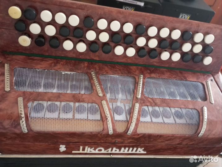 Баян Школьник