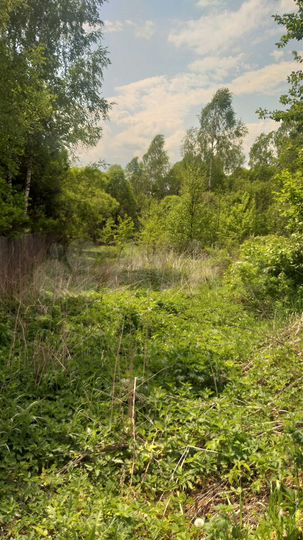 Дом 50 м² на участке 26 сот.