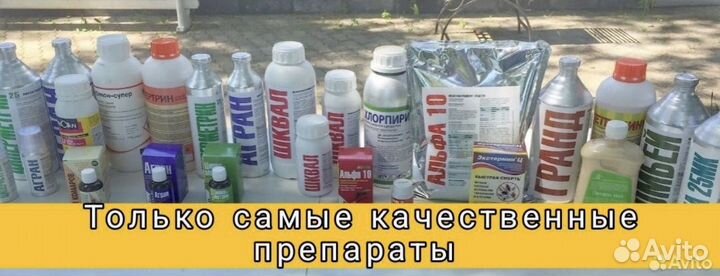 Уничтожение тараканов клопов
