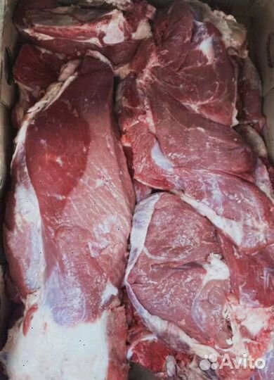 Мясо телятины забой 21 мая