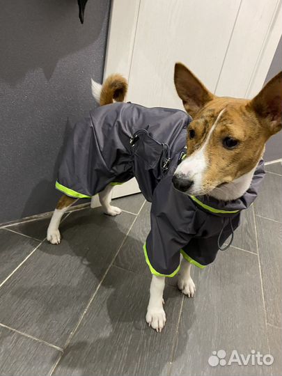 Дождевик-комбинезон Премиум р11 Laira