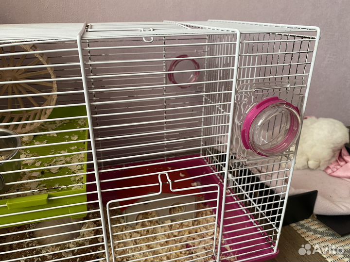 Клетка для грызунов с хомяком