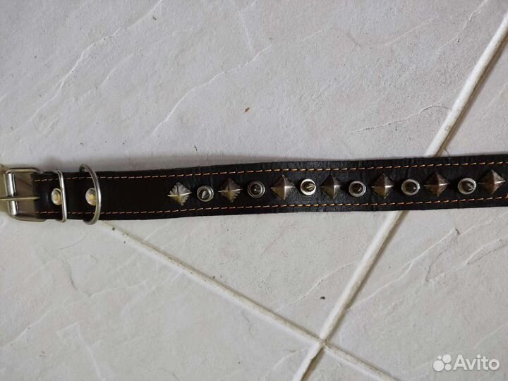 Ошейник для собак