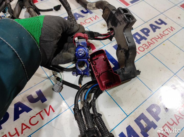 Проводка (коса) моторная Toyota Corolla E18 821210