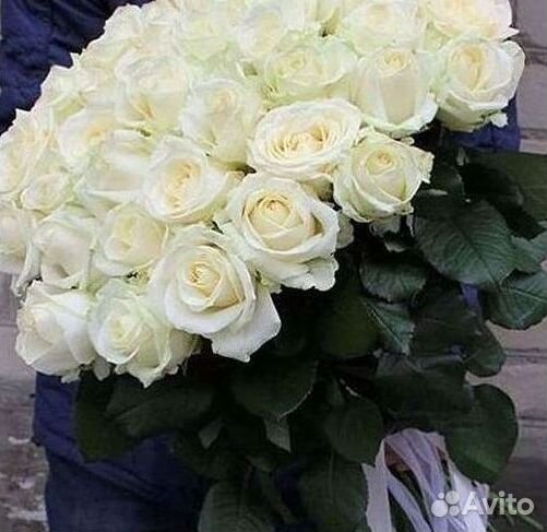 51 Роза, Букеты Цветы Розы 25 101 501 1001