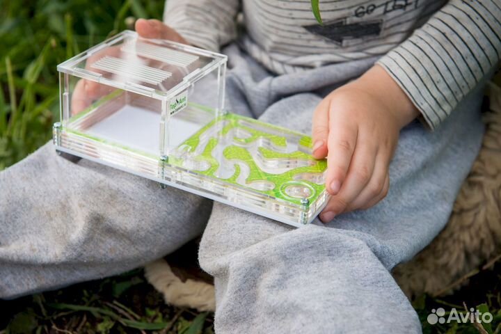 Муравьиная ферма