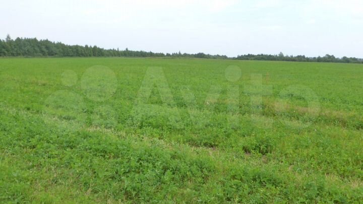 Участок 13 га (СНТ, ДНП)