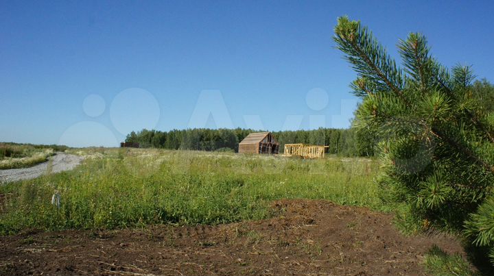 Участок 5 сот. (СНТ, ДНП)