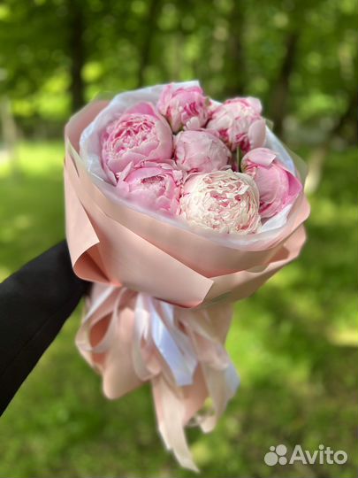 Пионы Sara Bernar Букеты Цветы Доставка