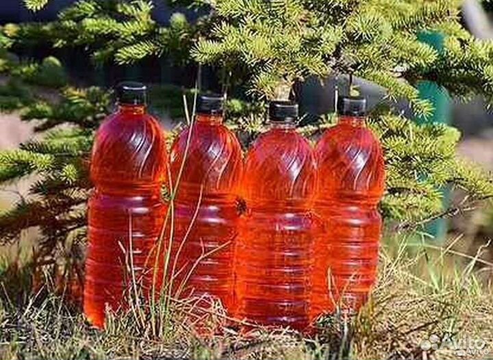 Лососевое масло для животных