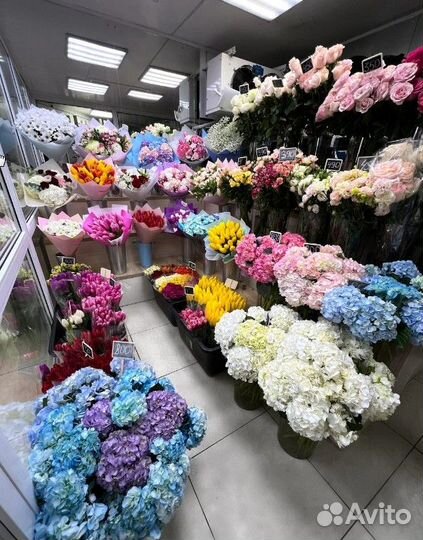 Просторный салон цветов с прибылью 150 т.р