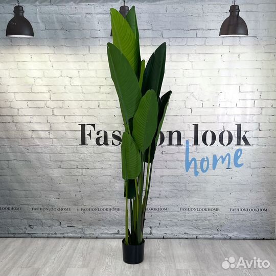 Искусственные растения