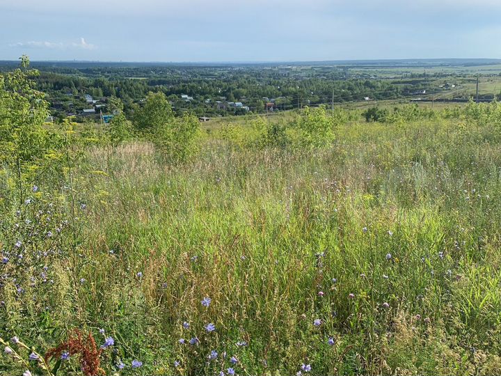 Участок 13,3 сот. (ИЖС)