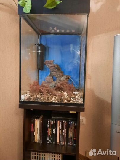 Аквариум