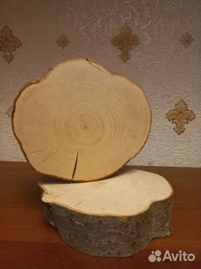 Спилы дерева