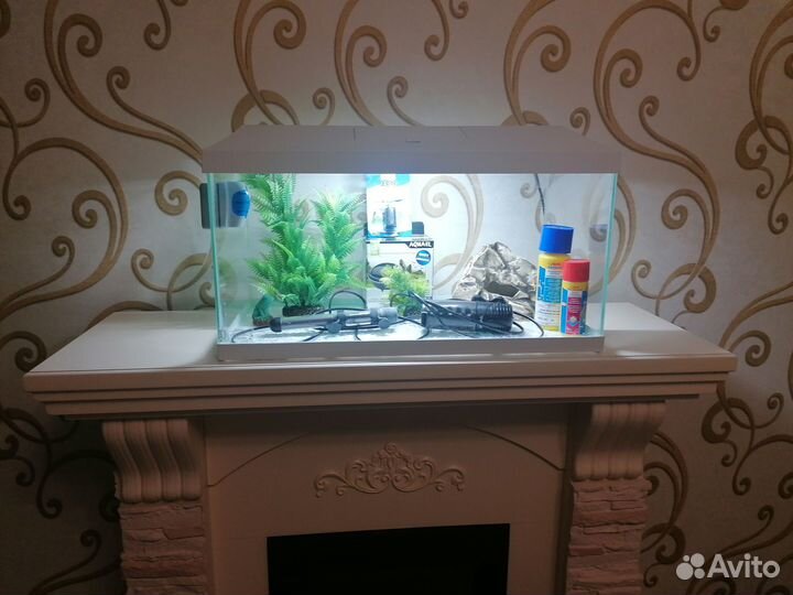 Аквариум