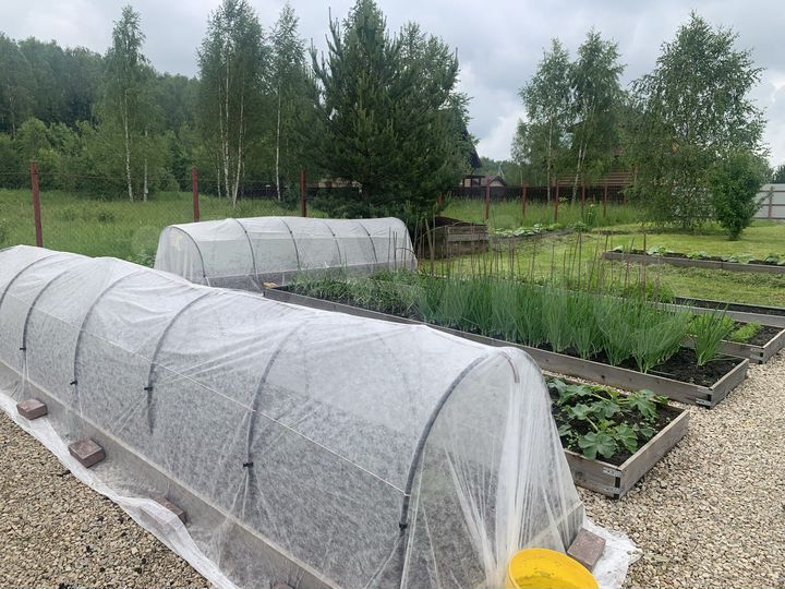 Участок 18,6 сот. (СНТ, ДНП)