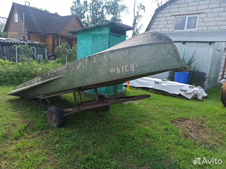 Казанка южанка