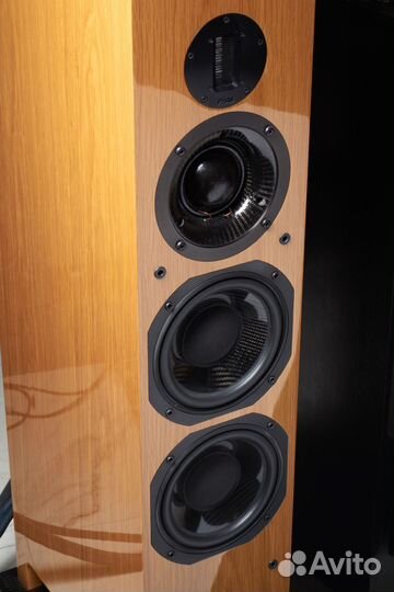 ProAC Carbon Pro 8 напольная акустика Hi-End класс