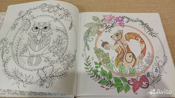 Раскраска Джоанна Бэсфорд 