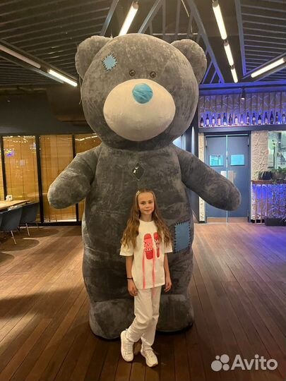 Поздравление Белый Мишка, Панда, Чебурашка, Тедди