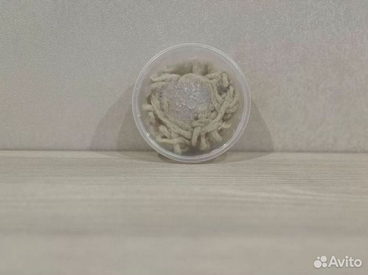 Черева свиная экстра шорт 34-36 мм