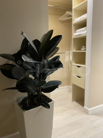 1-к. квартира, 30 м², 5/25 эт.