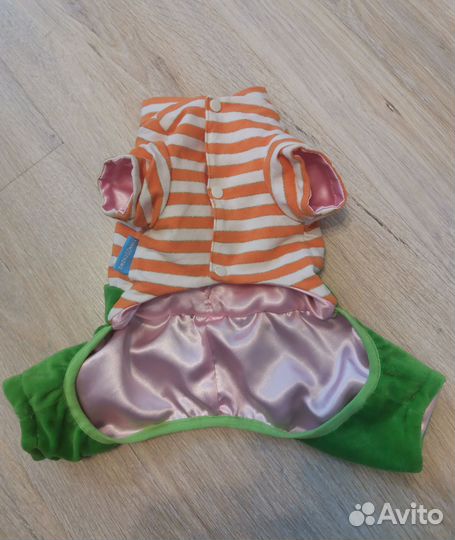 Костюм для маленькой собачки