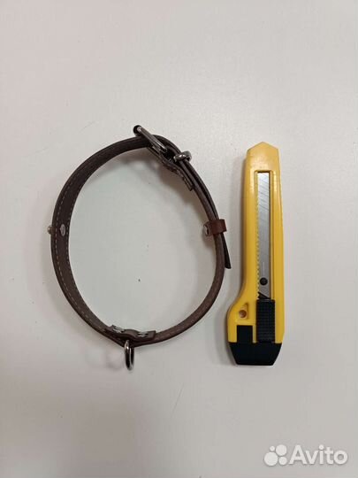 Ошейник для собак