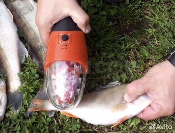 Электрическая рыбочистка