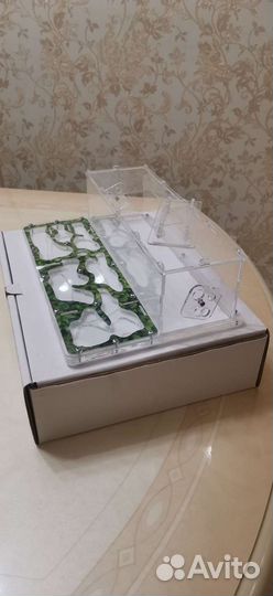 Муравьиная ферма без муравьев