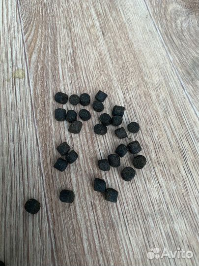 Корм для рыб