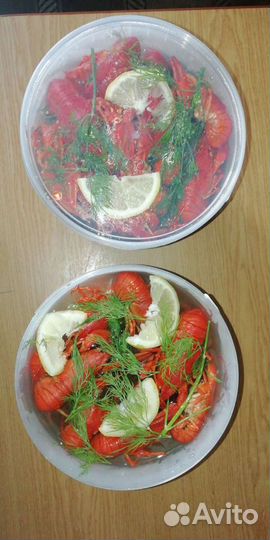 Раки живые