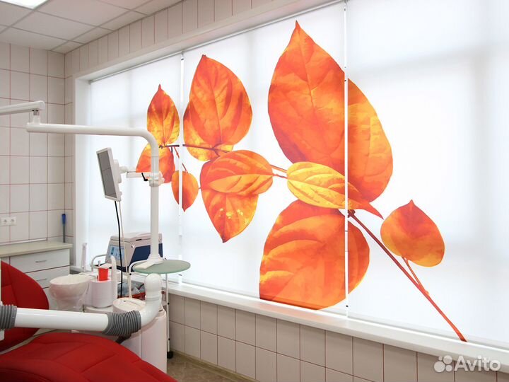 Жалюзи Рулонные шторы Зебра Плиссе