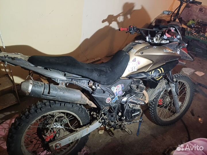 Эконика sport-002