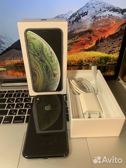 iPhone Xs, 256 ГБ