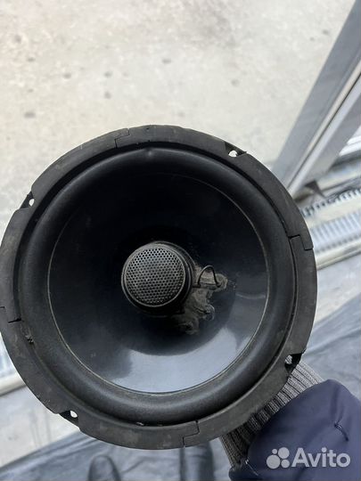 Динамики 20 см DLS 428