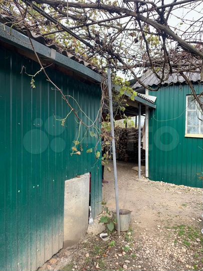 Дом 48,6 м² на участке 36 сот.