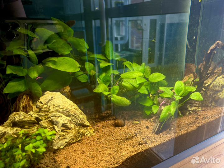 Обслуживание аквариумов