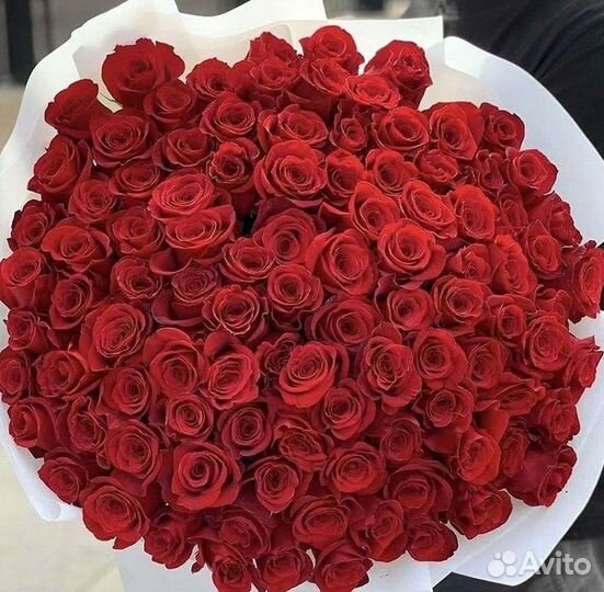 Высокие розы Гигантские розы с доставкой