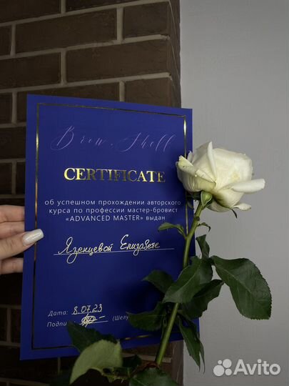 Обучение мастер бровист