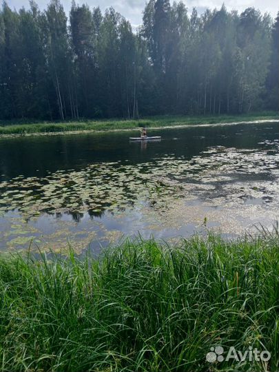 Прогулка на сапах по Оредежу. Прокат сапов