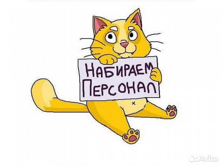 Разнорабочий предприятие График № 305 Без опыта