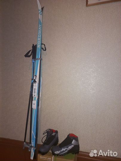 Беговые лыжи