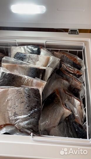 Рыбалка на камчатке 