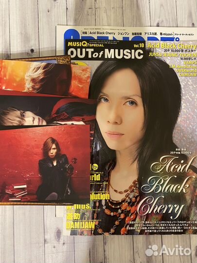 Журналы Acid Black Cherry