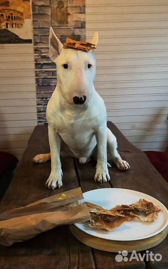 Лакомства для собак и кошек