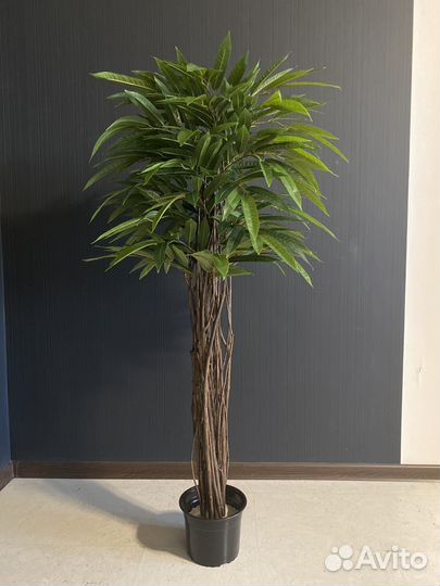 Искусственное дерево Манго